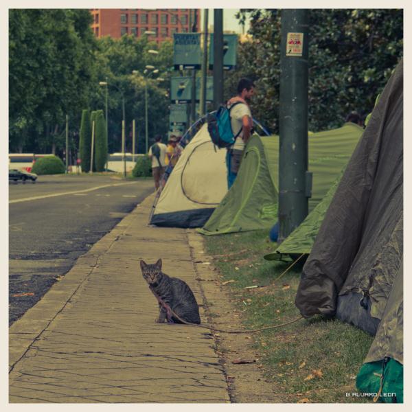 Vigia en la avenida del prado