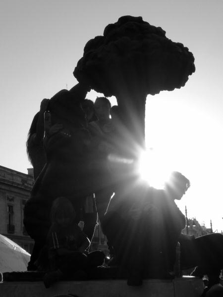 Oso, madroño y manifestantes